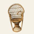 Mini Peacock Rattan Chair